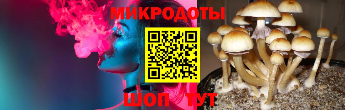Галлюциногенные грибы GOLDEN TEACHER Новосибирск